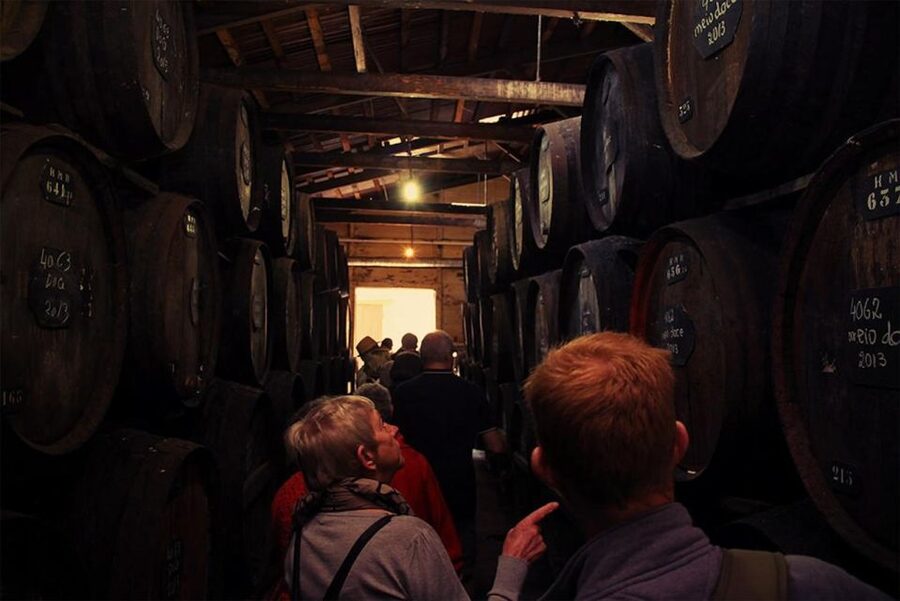 Funchal: H.M. Borges Winery Guided Tour with Wine Tasting - What you see on the winery tour, beyond the gift shop