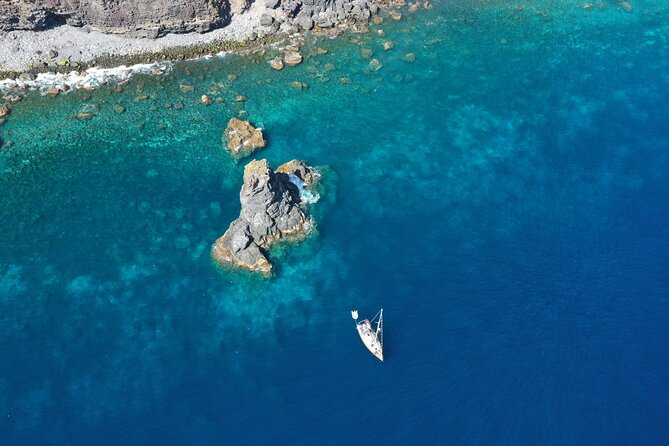 Funchal Half and Full Day Private Sailboat Tour - Whale and Dolphin Sightings: How to Enjoy It Without Chasing