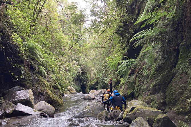 Funchal: Half-day Beginners Canyoning - Your guide and your safety rhythm: how the day stays under control