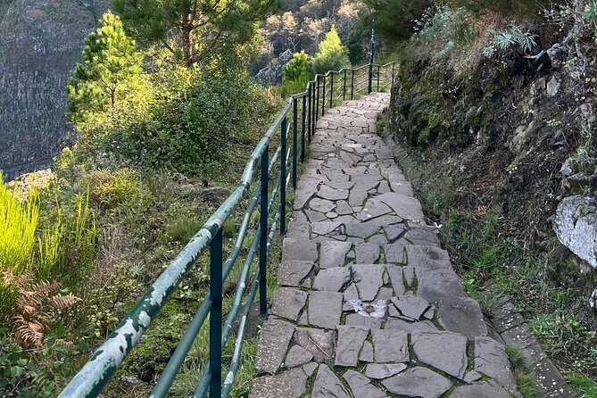 Funchal highlights 5h Private Tour in Madeira - Price and logistics, is $240.30 per group actually worth it?