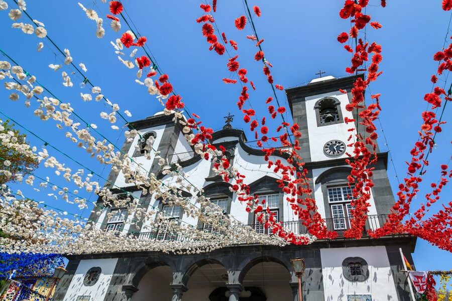 Funchal: Hop-On Hop-Off Bus Tour - Madeira wine and Bordal Madeira: the included stops that often make the pass pay off