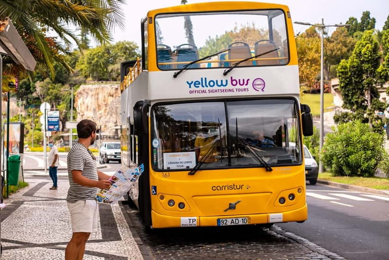 Funchal:Hop-on Hop-off Bus & Whale & Dolphin boat Excursion - Key highlights at a glance