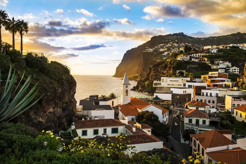 Funchal:Hop-on Hop-off Bus & Whale & Dolphin boat Excursion - Booking decision: should you do the bus plus catamaran combo?