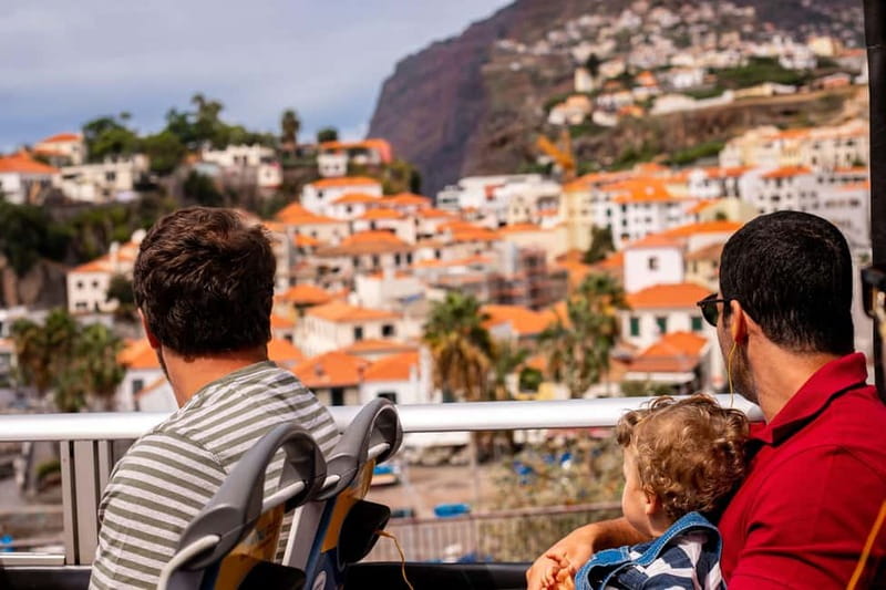 Funchal:Hop-on Hop-off Bus & Whale & Dolphin boat Excursion - Yellow Bus hopping: how to see more in less time