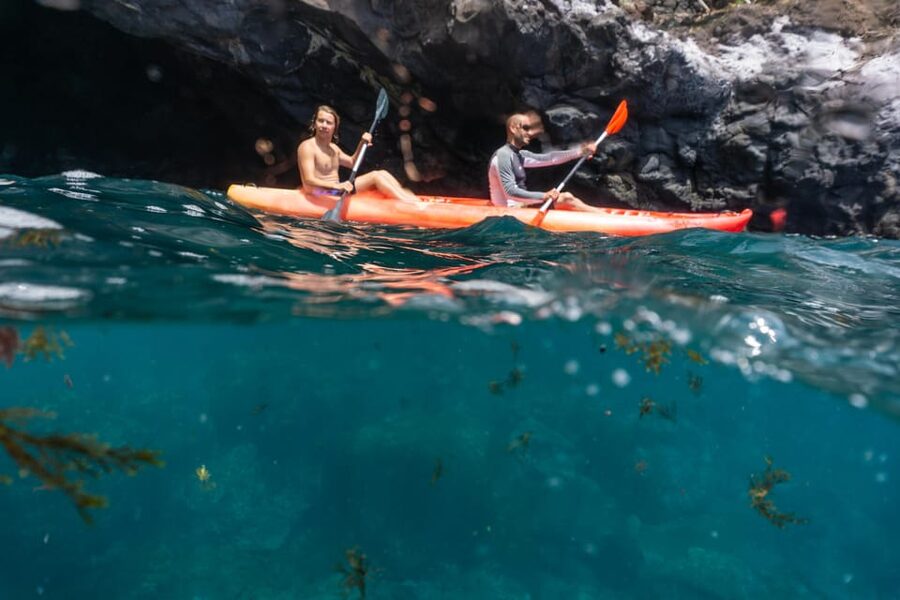 Funchal: KAYAK Rental or Guided tour with snorkeling - Key things that make this tour worth your time