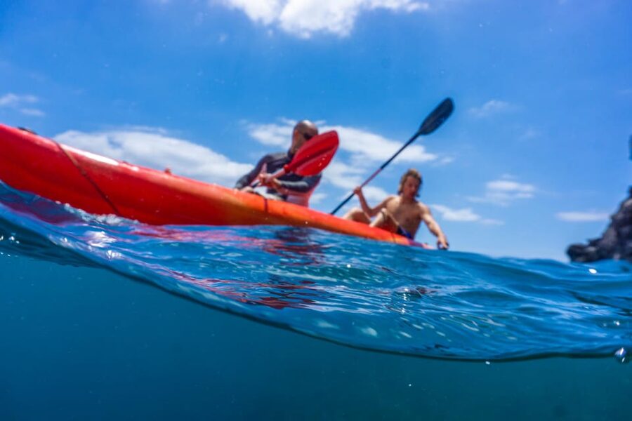 Funchal: KAYAK Rental or Guided tour with snorkeling - Gear-up reality: thin wetsuits, lifejackets, and a short swim at the start