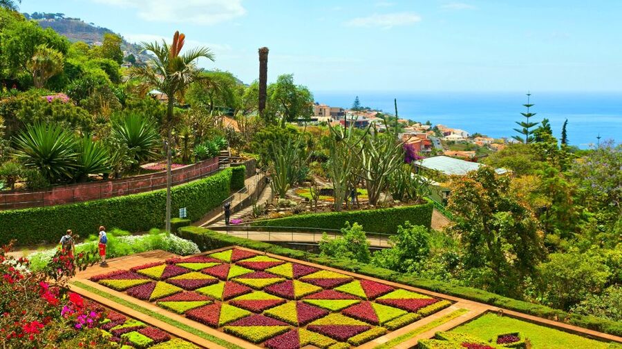 Funchal: Madeira Botanical Garden Private Tuk-Tuk Tour - Price and what you really get for $40 in Funchal