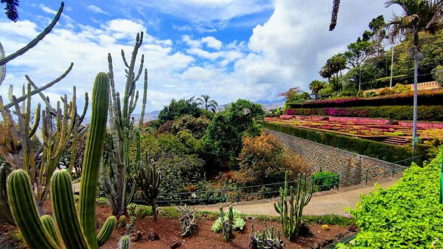 Funchal: Madeira Botanical Garden Private Tuk-Tuk Tour - Entering the Madeira Botanical Garden: 80,000 m² in about an hour