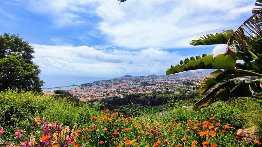 Funchal: Madeira Botanical Garden Private Tuk-Tuk Tour - The natural history museum stop: why it’s worth your time