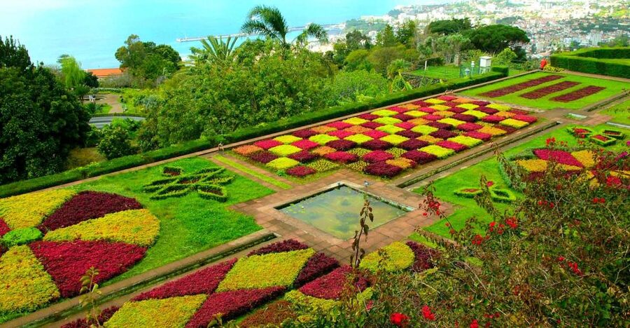 Funchal: Madeira Botanical Garden Private Tuk-Tuk Tour - Coming back down: drop-off options and easy next moves