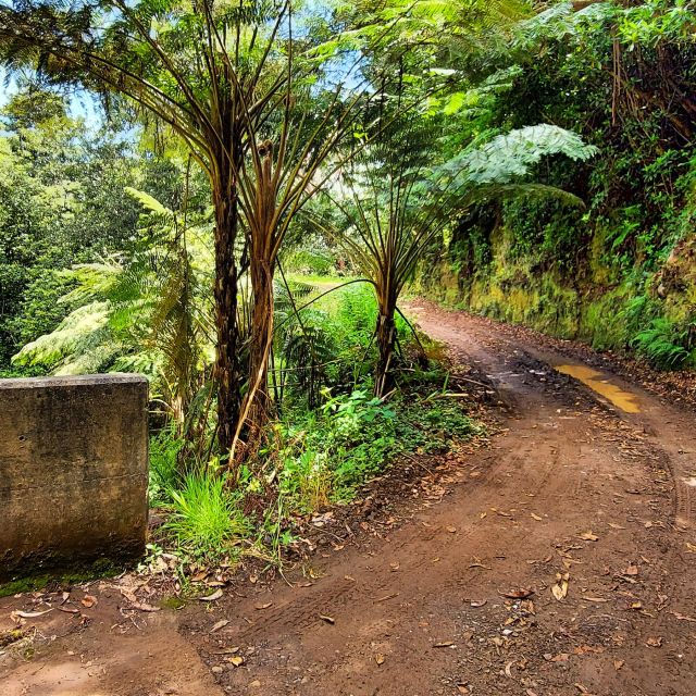Funchal: Madeira Island 4x4 Private Customizable Tour - Porto Moniz natural swimming pools: the stop you build the day around