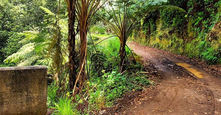 Funchal: Madeira Island 4x4 Private Customizable Tour - What to bring so weather does not hijack your day