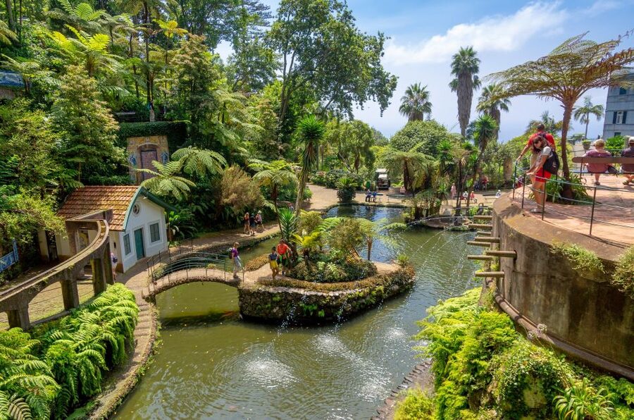 Funchal: Monte Palace Tropical Gardens Tuk Tuk Tour - Tuk Tuk Climb From Funchal City Center to the Viewpoints