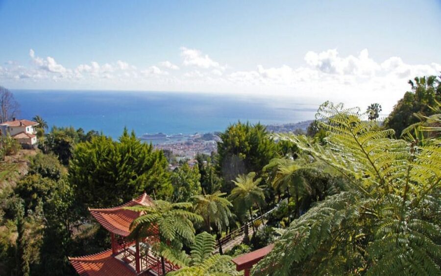 Funchal: Monte Palace Tropical Gardens Tuk Tuk Tour - Getting to Monte Palace, and Why the Ride Feels Like Part of the Attraction