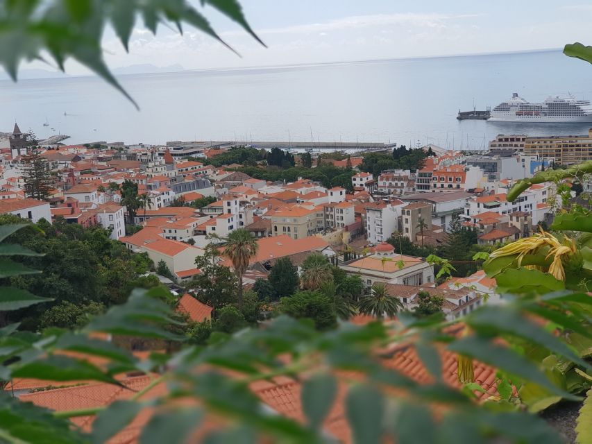 Funchal: Monte Toboggan and Old Town Tour by Tuk-Tuk - Photo stops and “Caminho do Monte 82” style moments