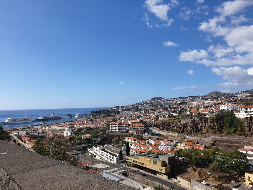 Funchal: Monte Toboggan and Old Town Tour by Tuk-Tuk - Farmers market pass-by and Zona Velha: a grounded Funchal look
