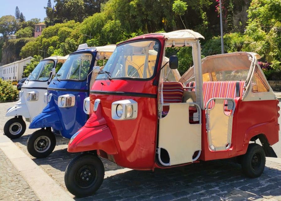 Funchal: Monte Toboggan and Old Town Tour by Tuk-Tuk - Price and value: what you’re paying for (and what you aren’t)