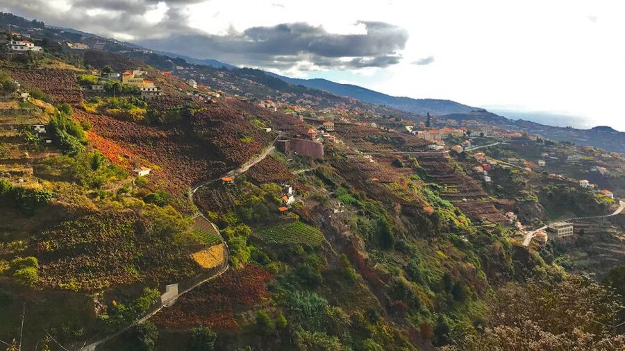 Funchal: Northern Levada Walking Tour - The guide and the stories: why “mountain guide” matters