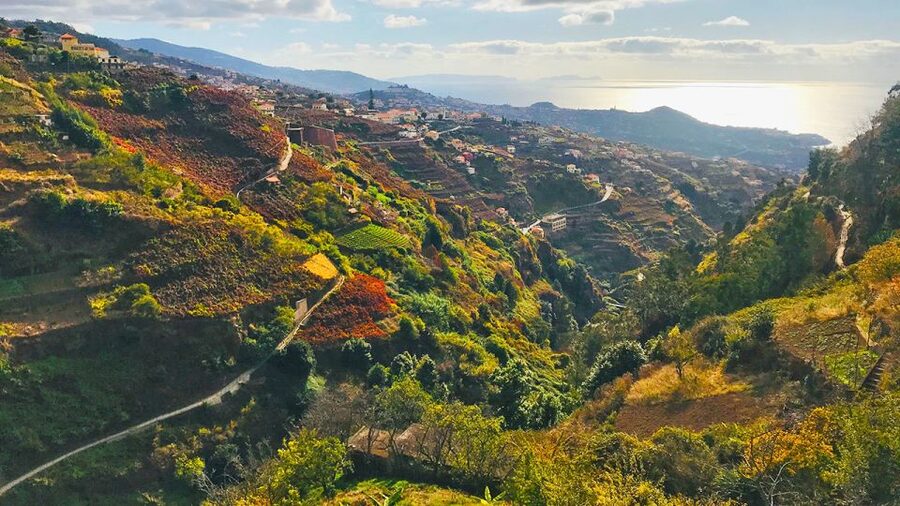 Funchal: Northern Levada Walking Tour - Price and value: what $38 buys on Madeira