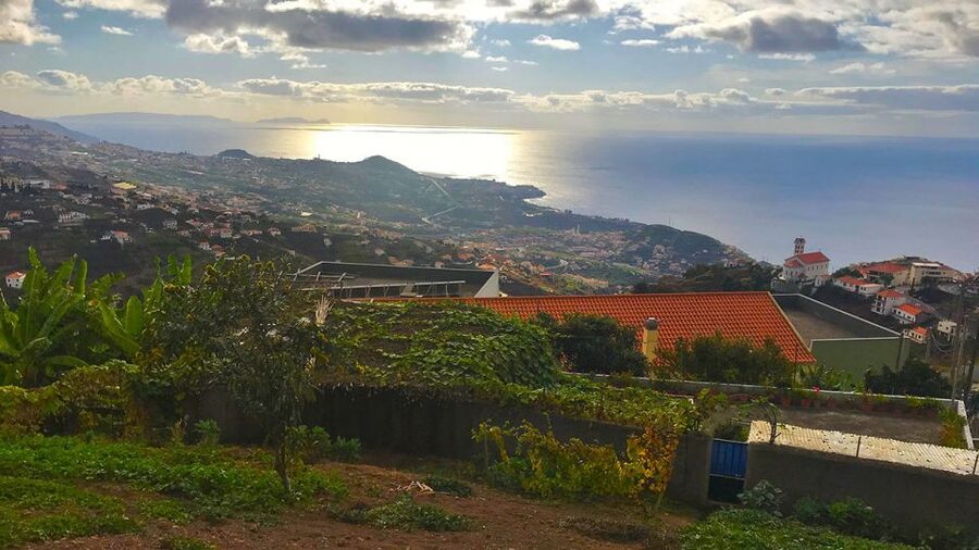 Funchal: Northern Levada Walking Tour - Getting to the start: pickup rules that affect real days