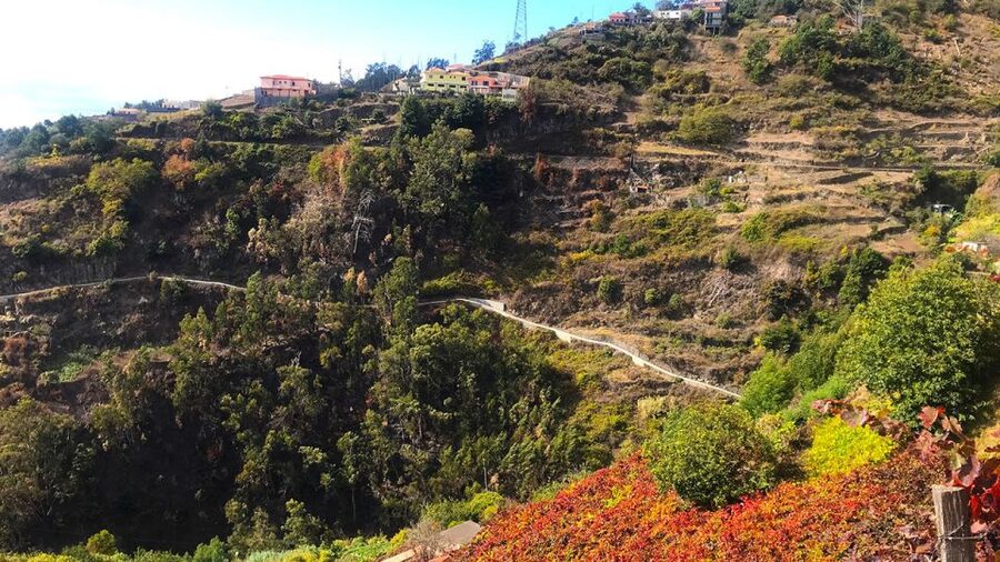 Funchal: Northern Levada Walking Tour - Cabo Girão: the views that set your pace