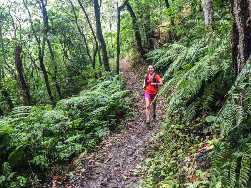 Funchal: Ocean to Mountain Running Tour - Moving Along the Larano Trail: Sea to Mountain Variety