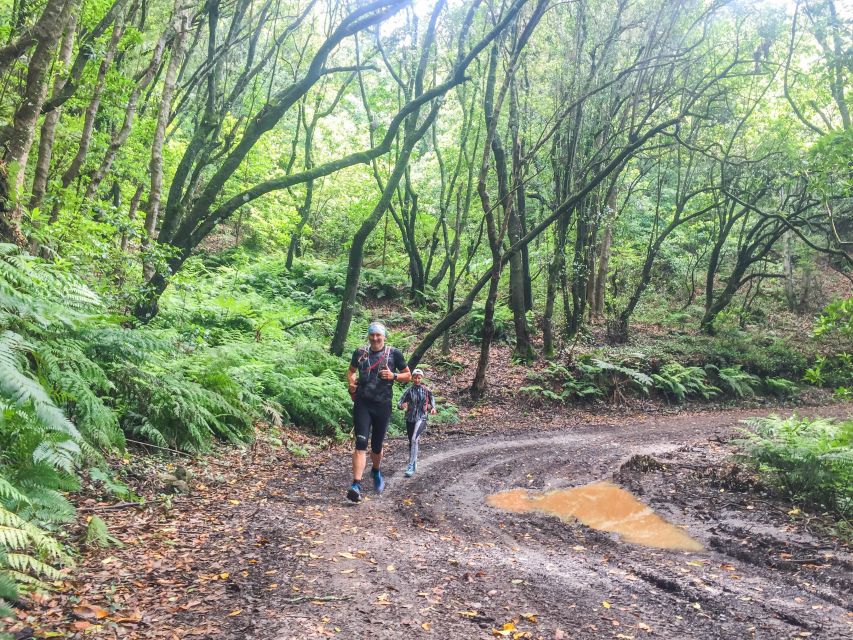 Funchal: Ocean to Mountain Running Tour - Meeting Point to Warm-Up: How the Day Starts