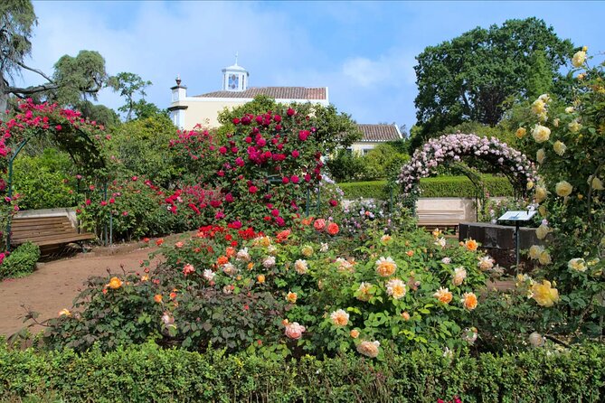 Funchal Old Town & Palheiro Gardens Private Tuk Tuk Tour - Private Tuk Tuk, Real Stories, and a Garden Stop That Fits a Short Day