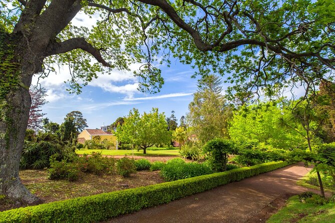 Funchal Old Town & Palheiro Gardens Private Tuk Tuk Tour - Quinta do Palheiro Gardens: What Makes It Worth the Separate Ticket