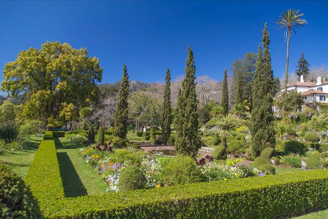 Funchal Old Town & Palheiro Gardens Private Tuk Tuk Tour - The Return Ride: Short, Scenic, and Built for Questions