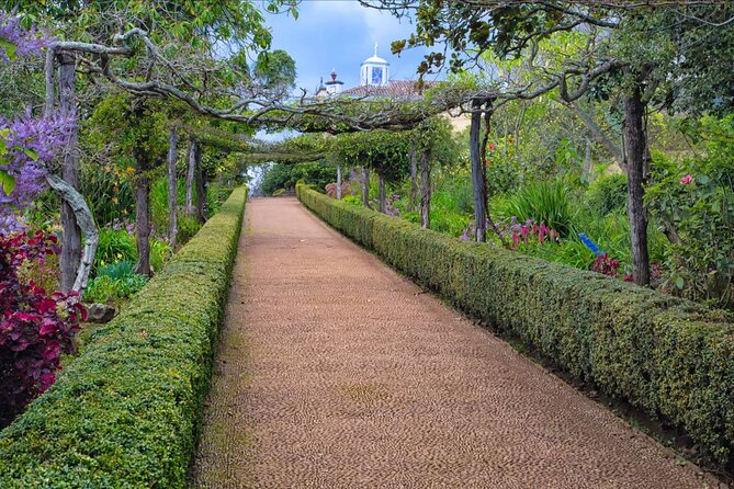 Funchal Old Town & Palheiro Gardens Private Tuk Tuk Tour - Price and Logistics: Is $96.33 for Up to Two a Good Deal?