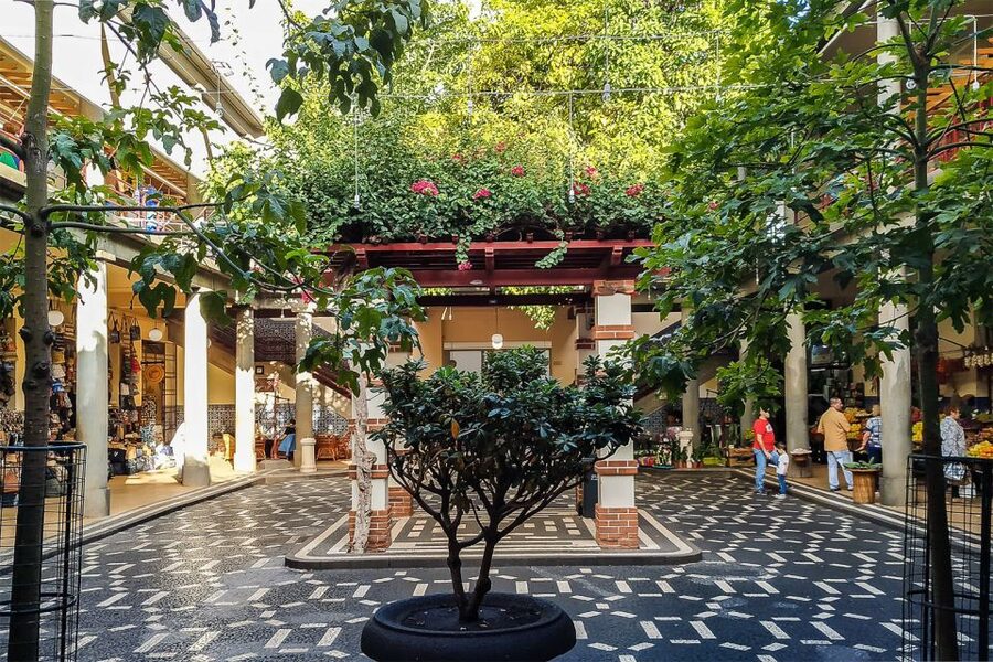 Funchal: Old Town Walking Tour - Cathedral and Legislative Assembly: power and faith in the 16th century