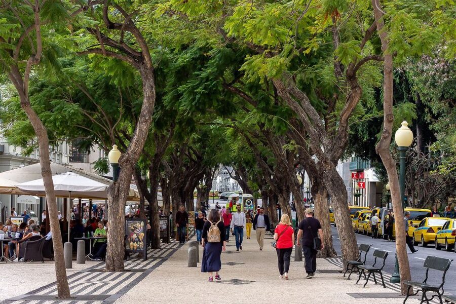 Funchal: Old Town Walking Tour - Sweet factory and the street-level history behind Madeira’s flavors