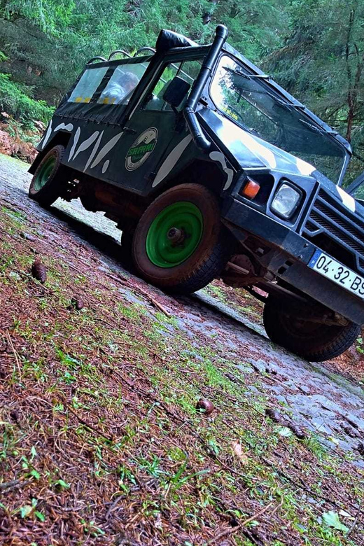 Funchal: Pico do Areeiro to Santana 4x4 East Tour - The old-roads off-road adventure through the Jurassic Forest vibe