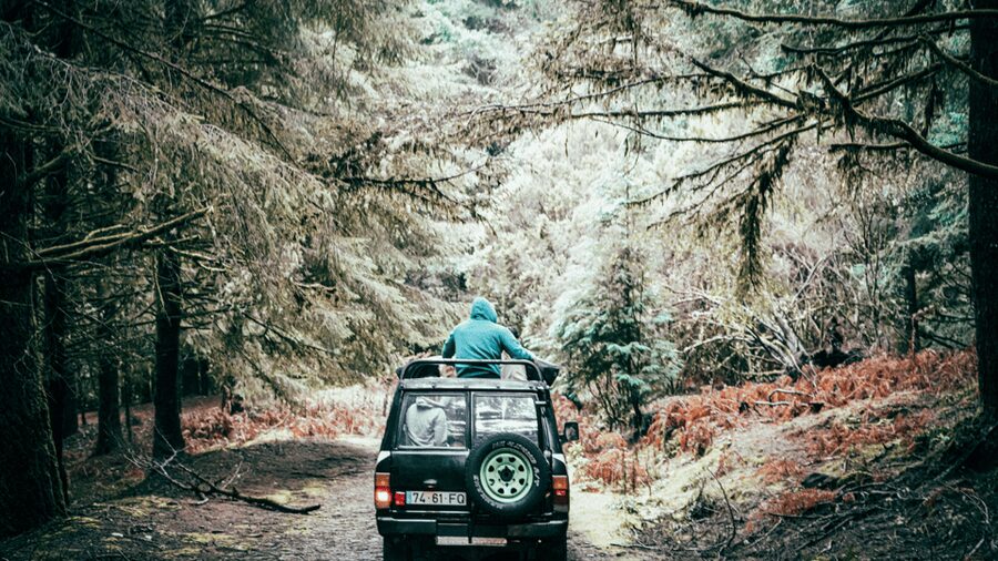 Funchal: Pico do Areeiro to Santana 4x4 East Tour - Price and value check for a $73 4x4 day