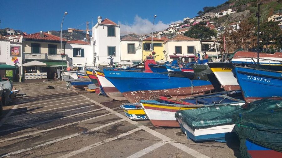 Funchal Private 4-Seater VIP Mercedes / 8-Seater Minibus - Money and Value: What $171 per Group Really Buys