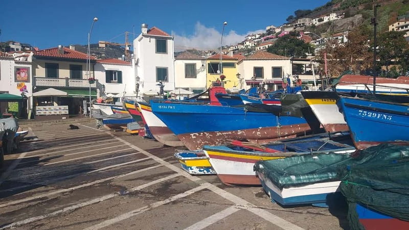 Funchal Private 4-Seater VIP Mercedes / 8-Seater Minibus - Comfort, Accessibility, and the Small Rules That Affect Real Life