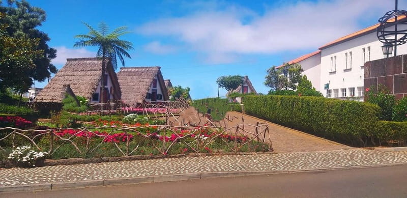 Funchal Private 4-Seater VIP Mercedes / 8-Seater Minibus - Pick the Island Side: East, West, Central, or North