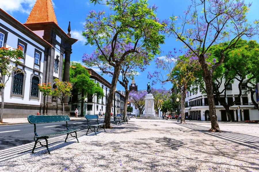 Funchal: Private Guided Tour of Historic Center by Tuk Tuk - What’s Included, What’s Not, and What You Should Budget For