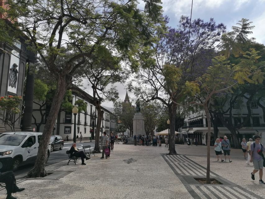 Funchal: Private Guided Tour of Historic Center by Tuk Tuk - Who This Tour Suits Best (and Who Might Want Another Plan)
