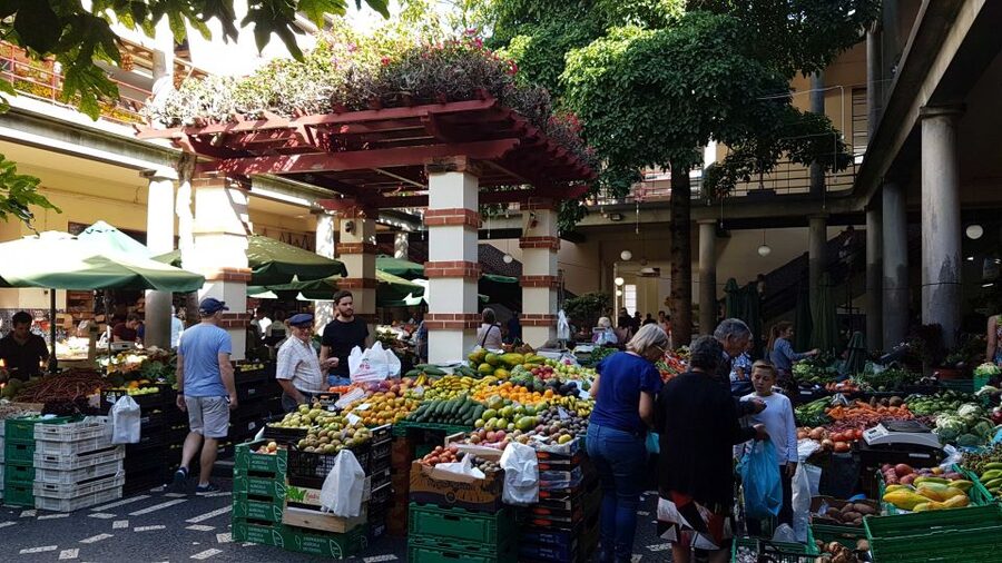 Funchal: Private Guided Walking Tour - Avenue Arriaga, São Lourenço Palace Area, and Marina Air