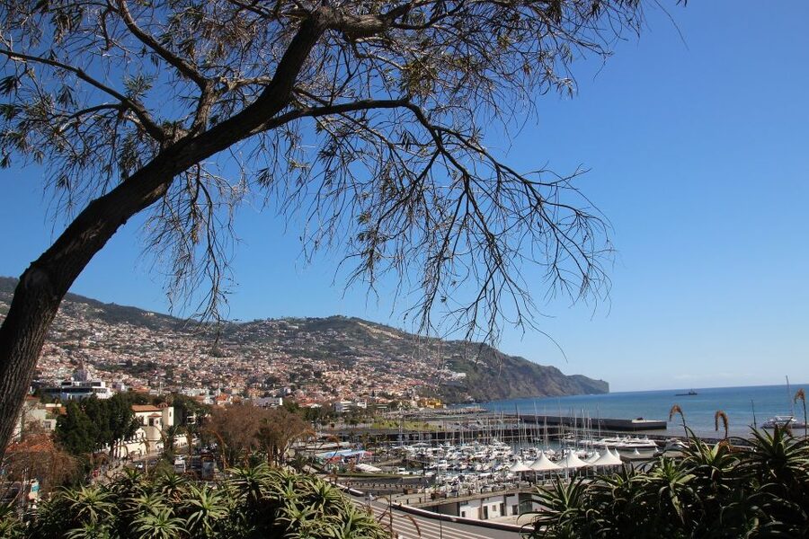Funchal: Private Tour with a Local Guide - Key things I’d mark on my map