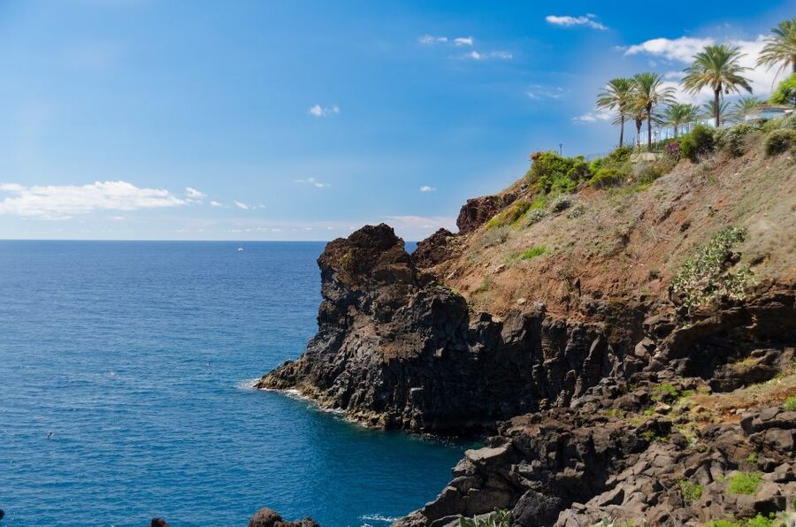 Funchal: Private Tour with a Local Guide - Starting in the right place, meeting your guide at home