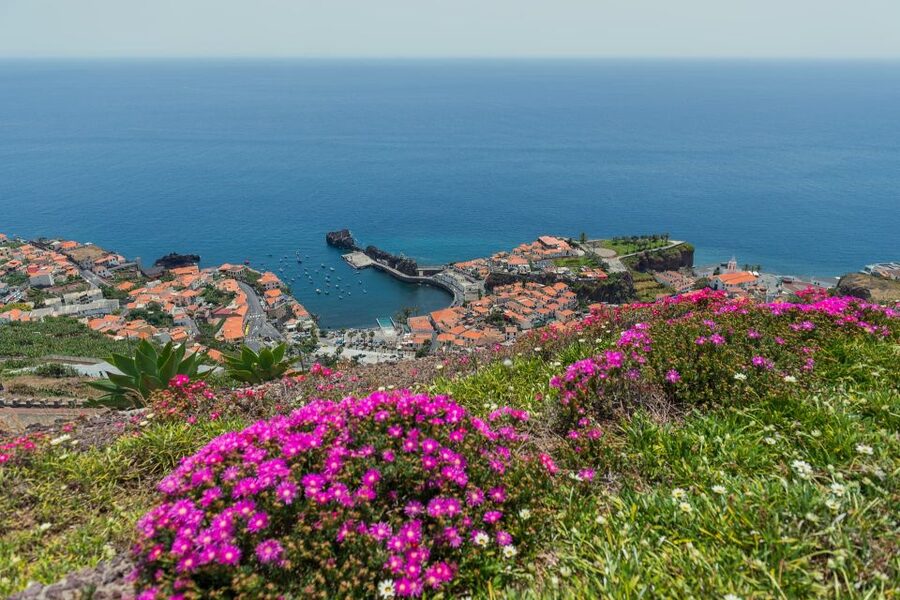 Funchal: Private Tuk-Tuk Tour to Cabo Girão Cliff - Skywalk - Private tuk-tuk around Funchal, not a bus-and-back plan