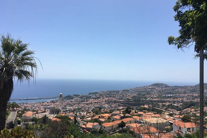 Funchal Private Vehicle Service with Driver for a Half Day or Full Day - Pickup points, name boards, and where to wait