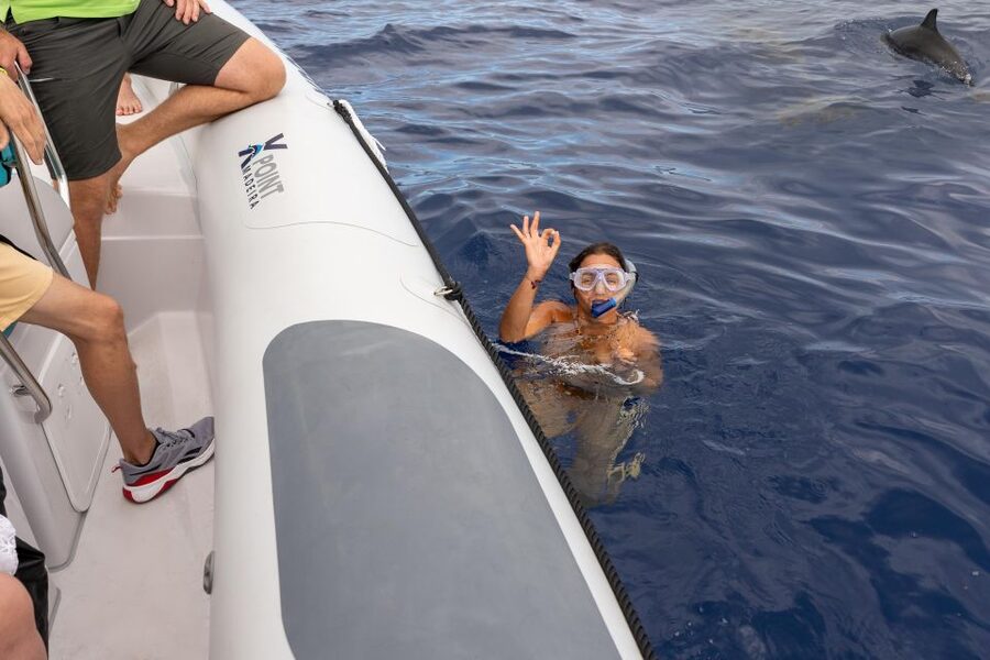 Funchal: RIB Whale Watching Cruise and Optional Dolphin Swim - Key things I’d circle before you book