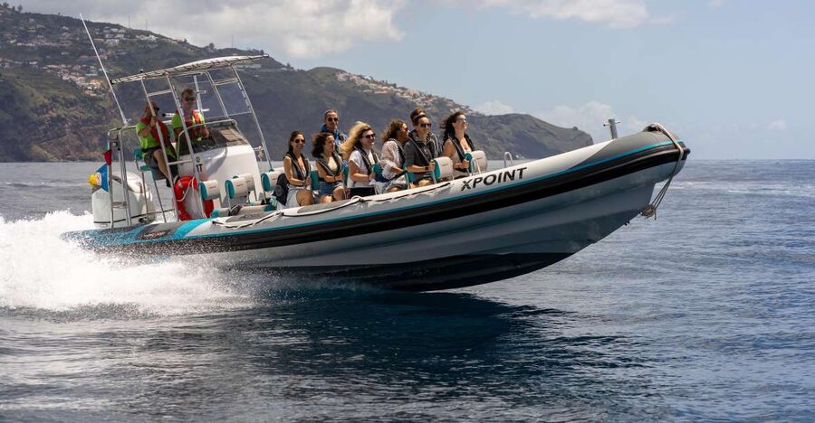 Funchal: RIB Whale Watching Cruise and Optional Dolphin Swim - How the crew handles sightings without stressing animals