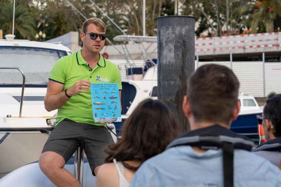 Funchal: RIB Whale Watching Cruise and Optional Dolphin Swim - The dolphin swim snorkel add-on: what’s allowed, what’s charged