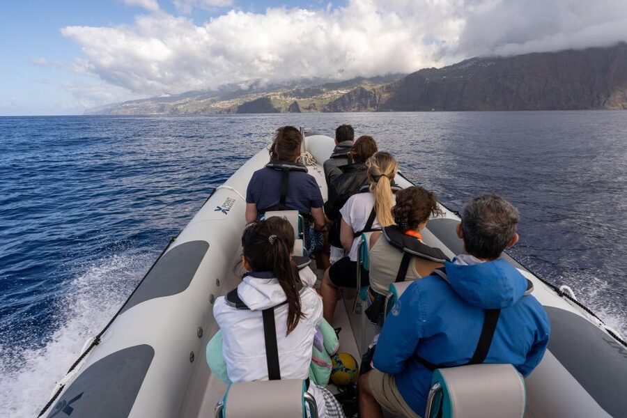 Funchal: RIB Whale Watching Cruise and Optional Dolphin Swim - Who this trip fits best (and who might not)