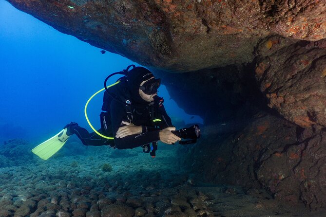 Funchal: Scuba Diving Experience for Beginners - Ocean Reef Time: Shallow Atlantic Wildlife in Funchal